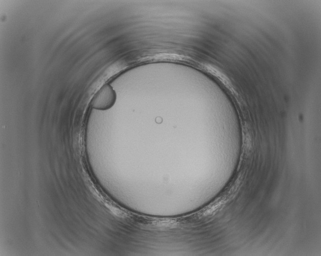 X0000061151282200512161546