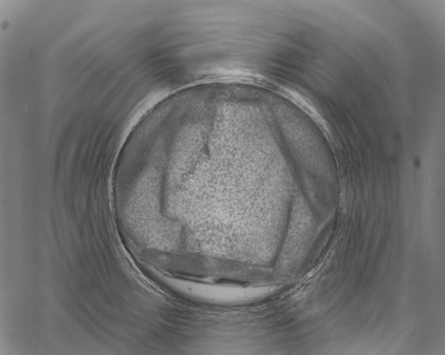 X0000061151283200512161546