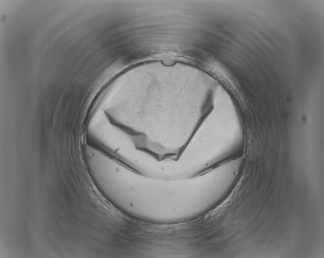 X0000061151284200512161546