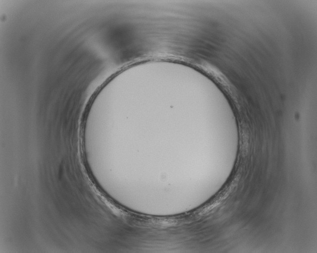 X0000061151286200512161546