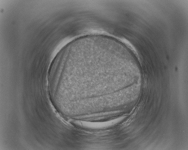 X0000061151287200512161546