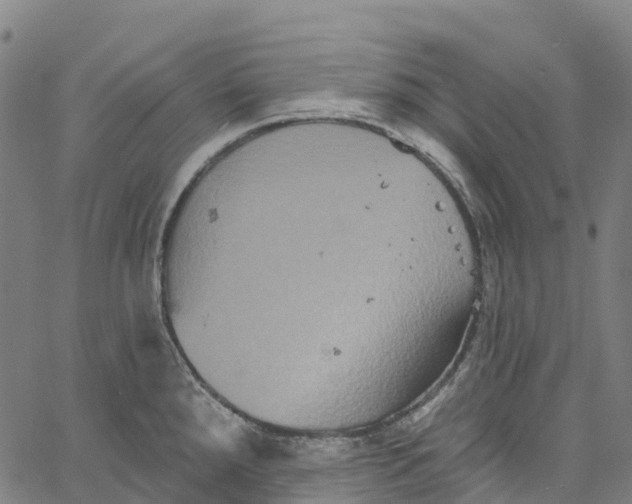 X0000061151288200512161546