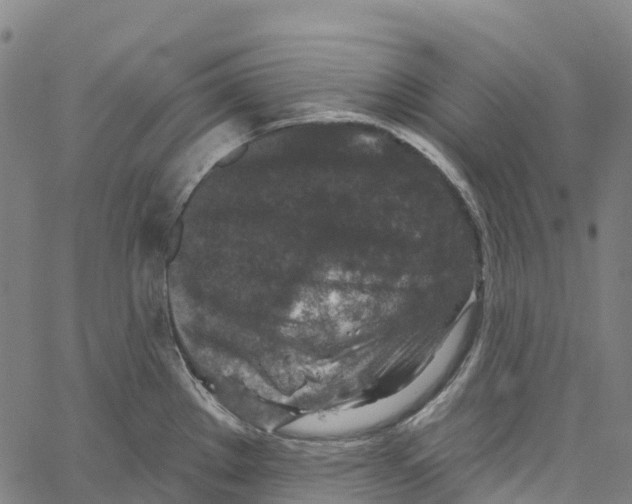 X0000061151289200512161546