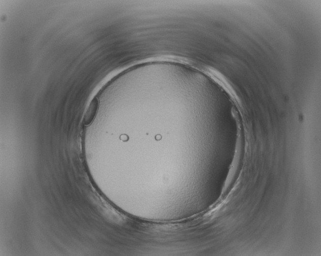 X0000061151292200512161546