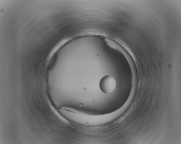 X0000061151293200512161546