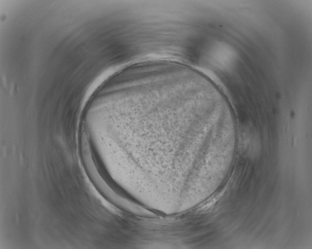 X0000061151294200512161546