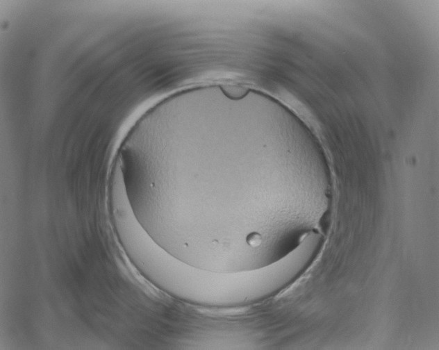 X0000061151296200512161546