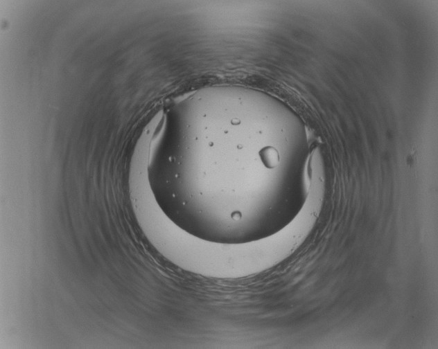 X0000061151298200512161545