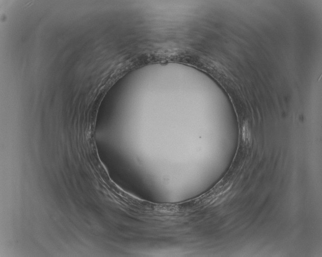 X0000061151299200512161545