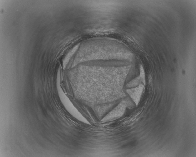 X0000061151300200512161545