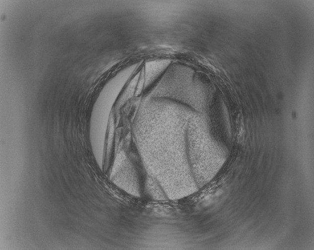 X0000061151301200512161545