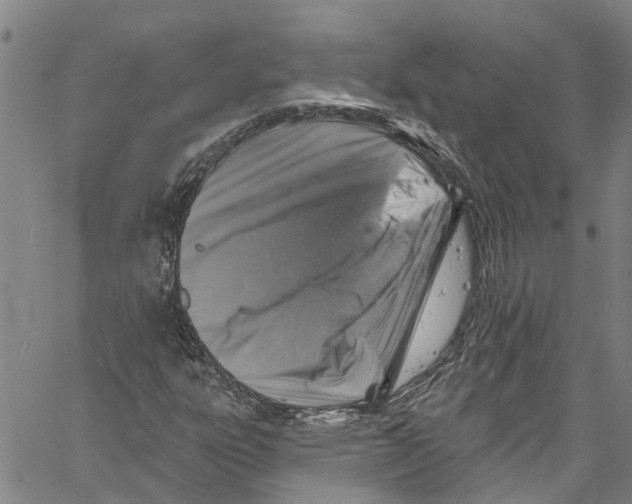 X0000061151303200512161545