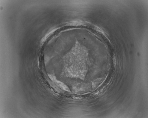 X0000061151304200512161545