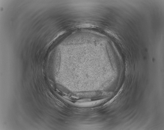 X0000061151305200512161545