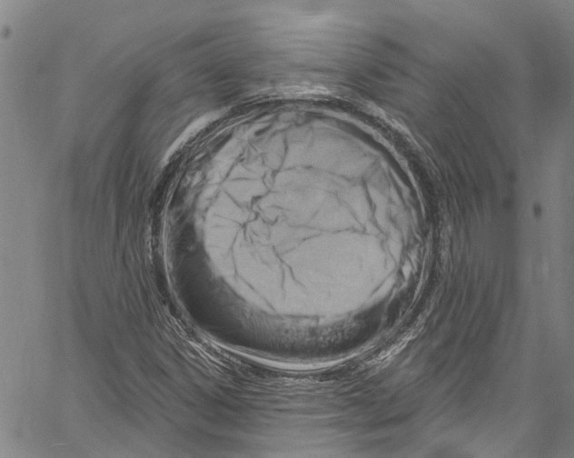 X0000061151306200512161545