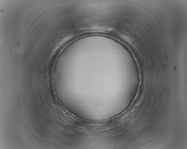 X0000061151307200512161545