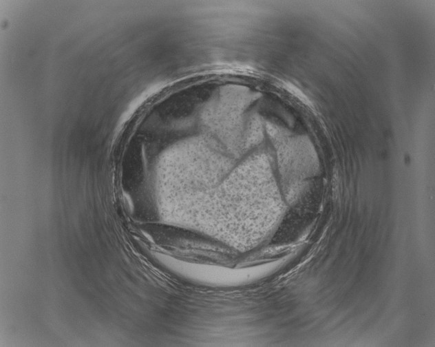 X0000061151310200512161545