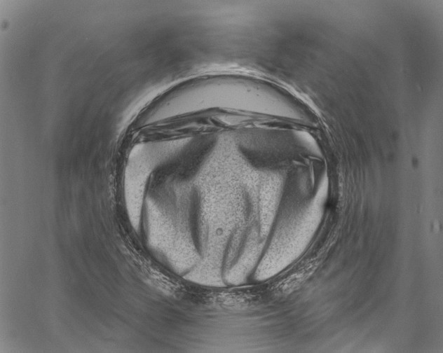 X0000061151311200512161545