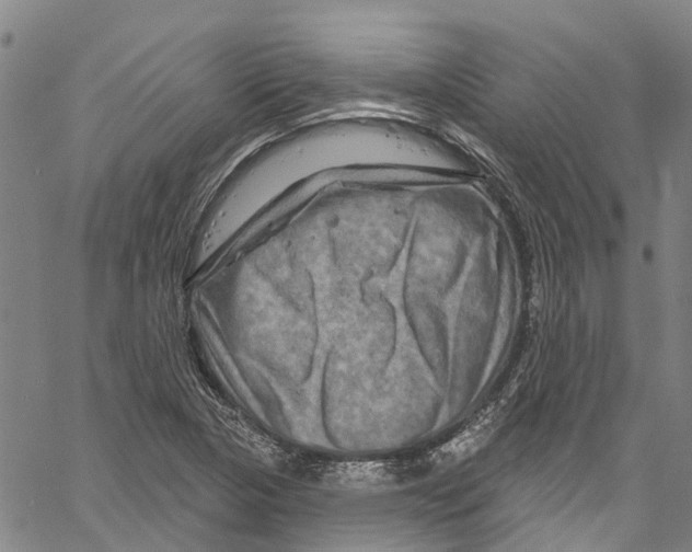 X0000061151313200512161545