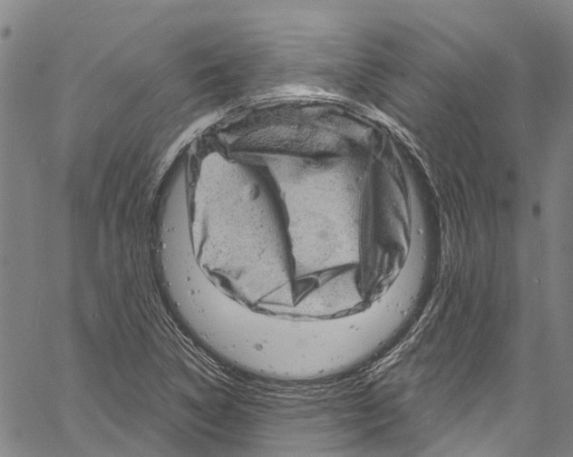 X0000061151314200512161545