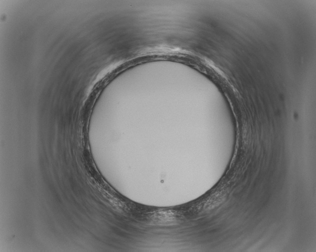 X0000061151315200512161545