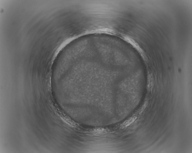 X0000061151316200512161545