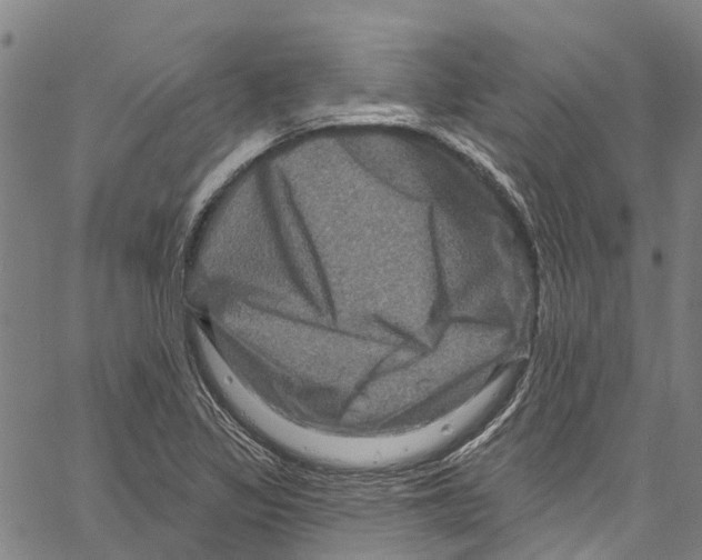 X0000061151317200512161545