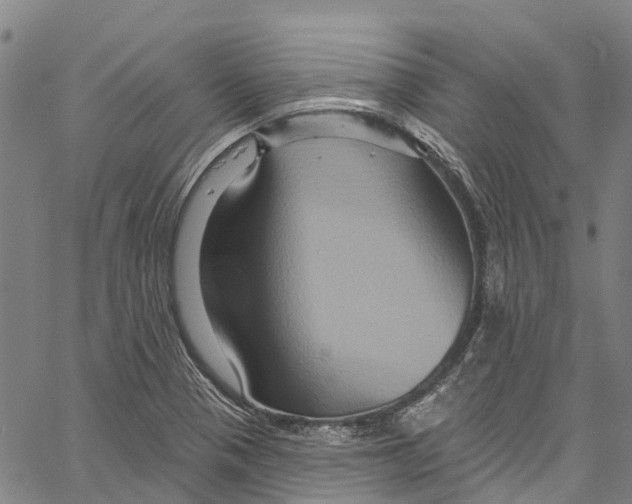 X0000061151321200512161545