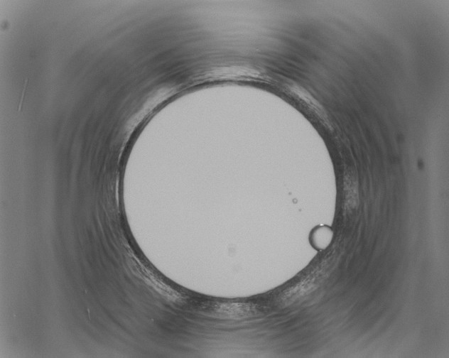 X0000061151322200512161545