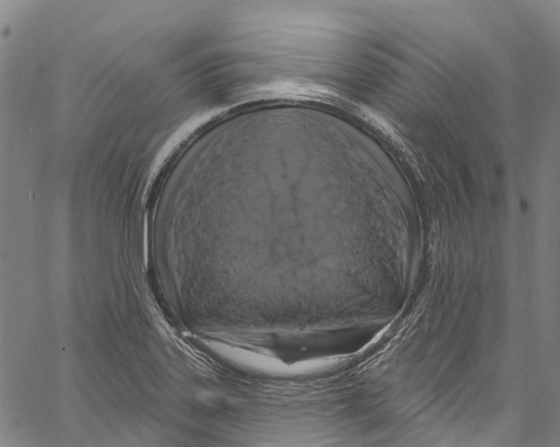 X0000061151323200512161545