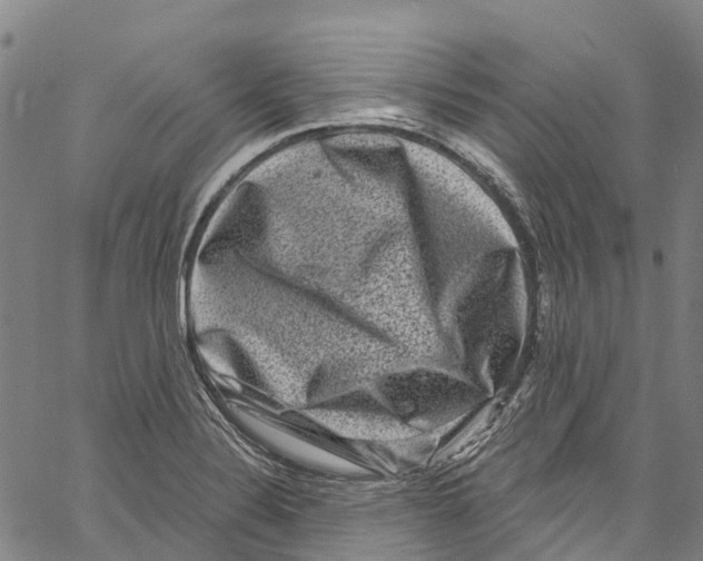 X0000061151324200512161545