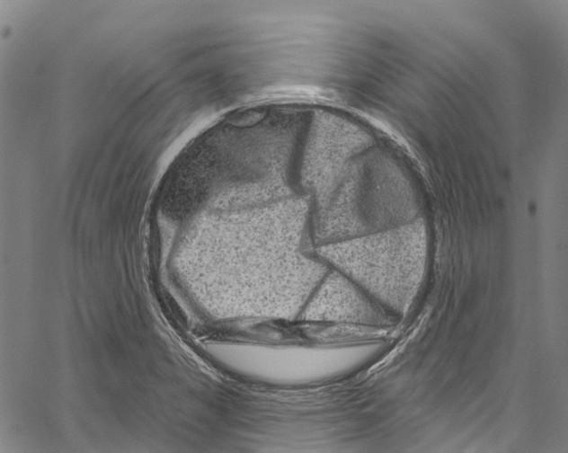 X0000061151325200512161545