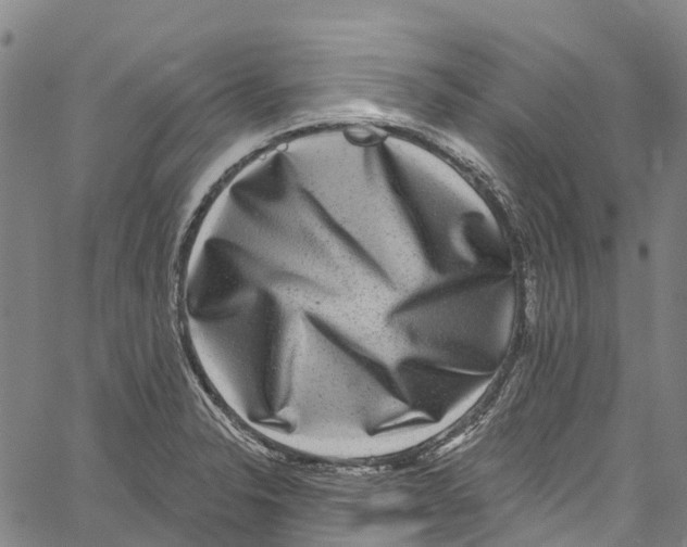 X0000061151326200512161545