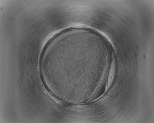 X0000061151327200512161545