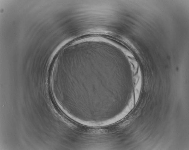 X0000061151331200512161545