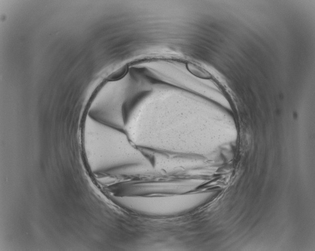 X0000061151335200512161546