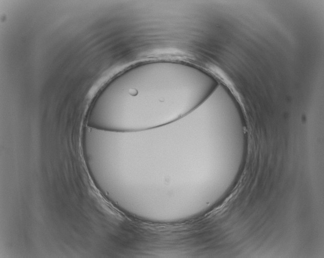 X0000061151336200512161546