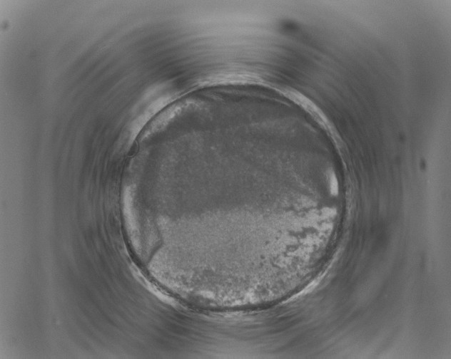 X0000061151337200512161546