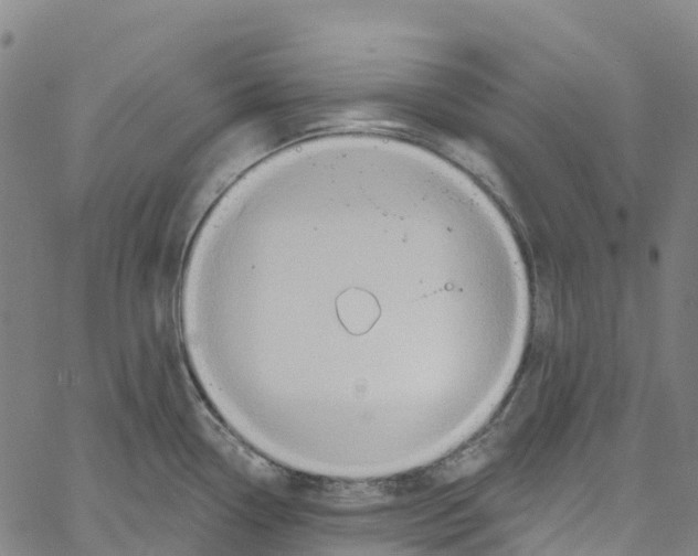 X0000061151338200512161546