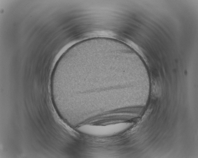 X0000061151339200512161546