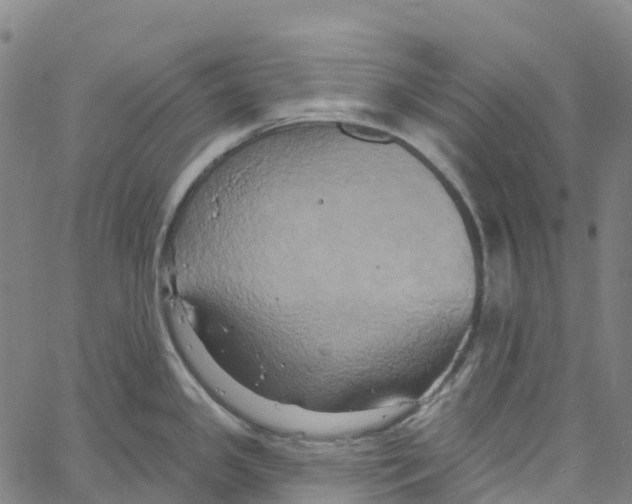 X0000061151341200512161546