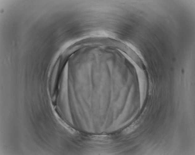 X0000061151342200512161546