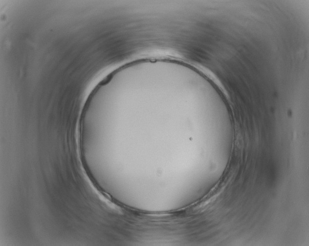 X0000061151343200512161546