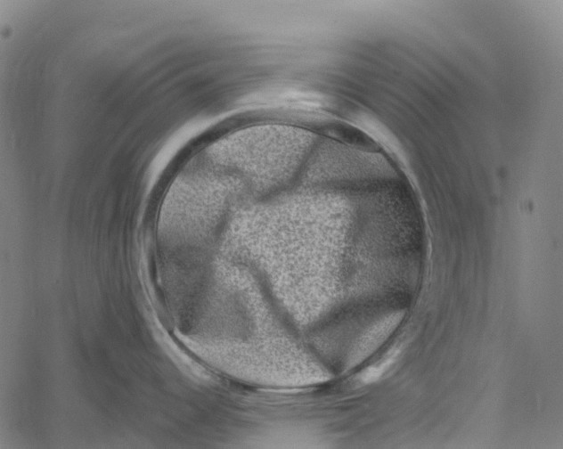 X0000061151344200512161546