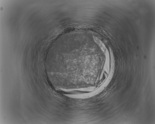 X0000061151345200512161545