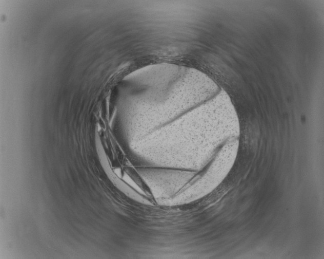 X0000061151346200512161545