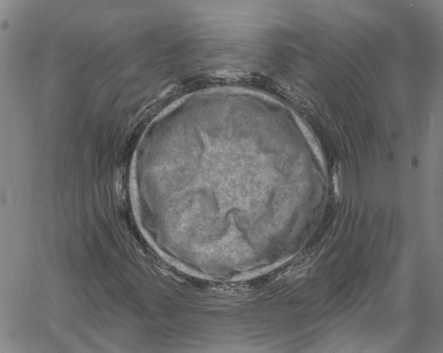 X0000061151347200512161545