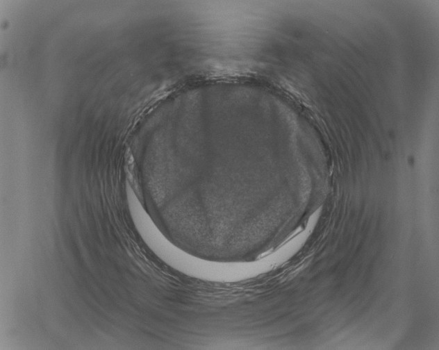 X0000061151348200512161545