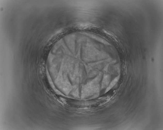 X0000061151349200512161545