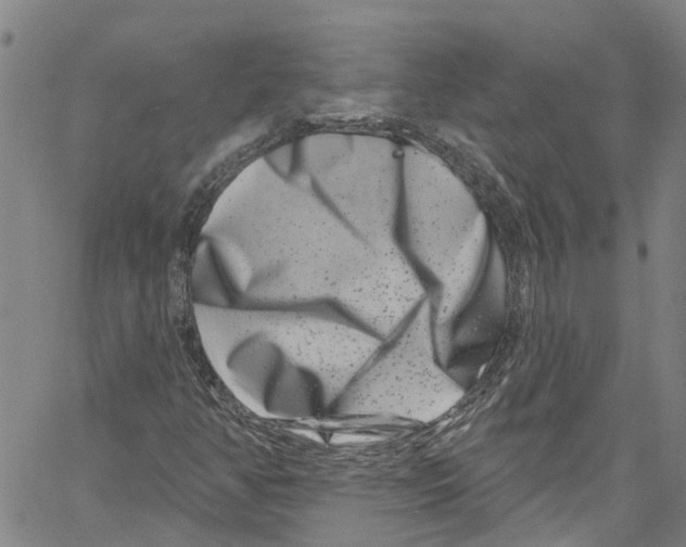 X0000061151350200512161545